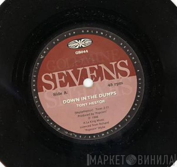 Tony Hester, Stanley Mitchell - Down In The Dumps / Get It Baby