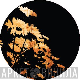 Tony Lionni - Golden EP