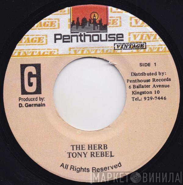 Tony Rebel - The Herb