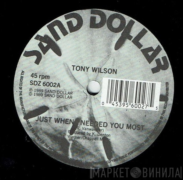 Tony Wilson , Sand Dollar Orchestra - Just When I Needed You Most / Stroll On! (The Beach)