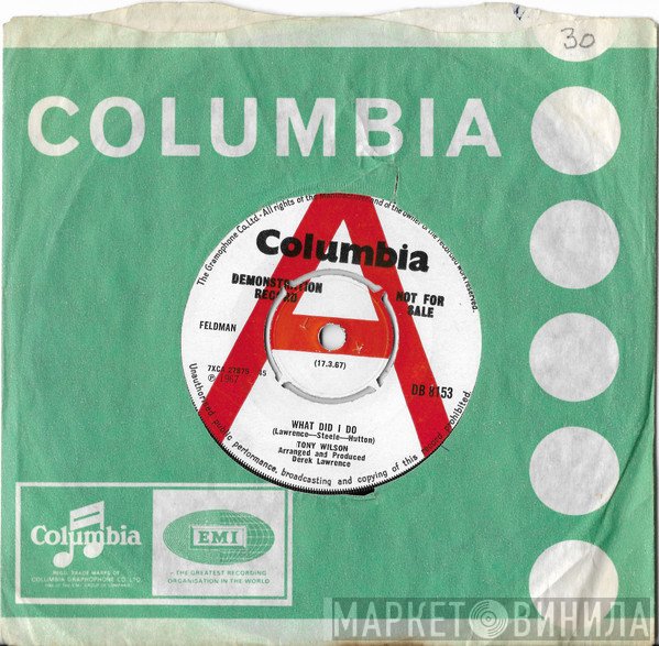 Tony Wilson  - What Did I Do