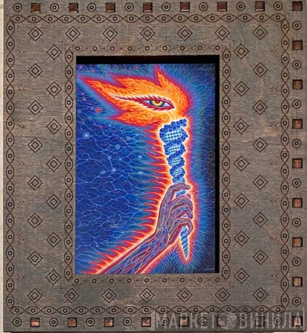 Tool   - Fear Inoculum - Deluxe Edition CD Boxed Set