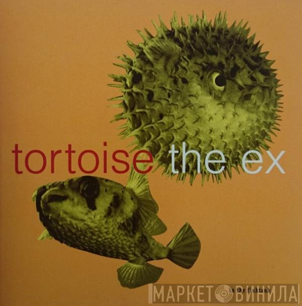 Tortoise + The Ex  - In The Fishtank
