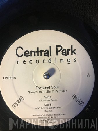 Tortured Soul - How's Your Life? (Part One)