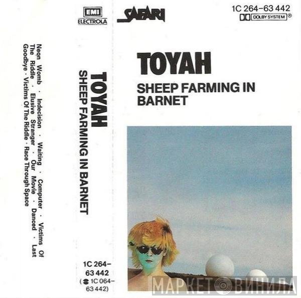 Toyah   - Sheep Farming In Barnet