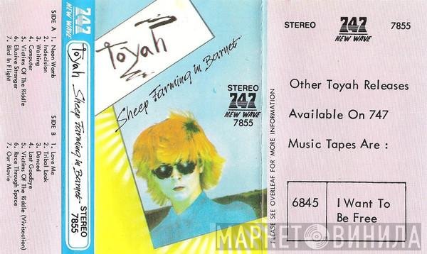 Toyah   - Sheep Farming In Barnet