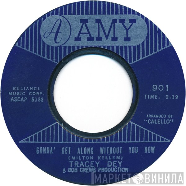 Tracey Dey - Gonna' Get Along Without You Now