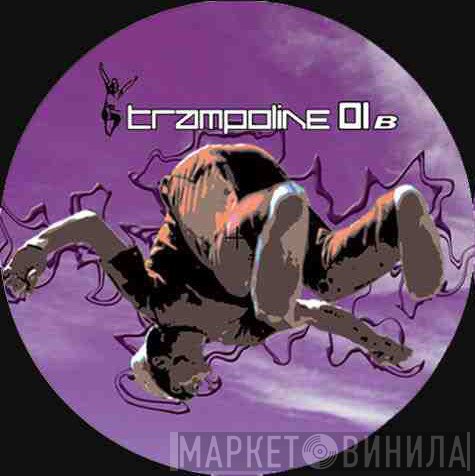  - Trampoline 01 B