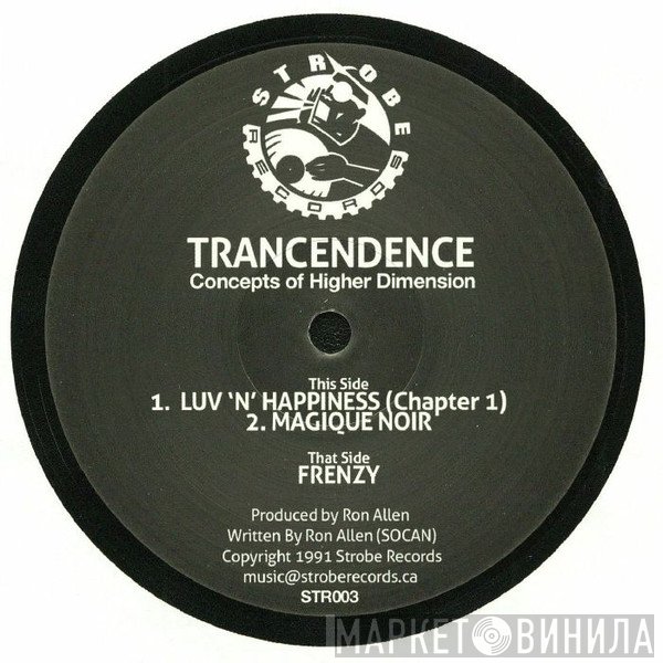 Transcendence - Concepts Of Higher Dimension