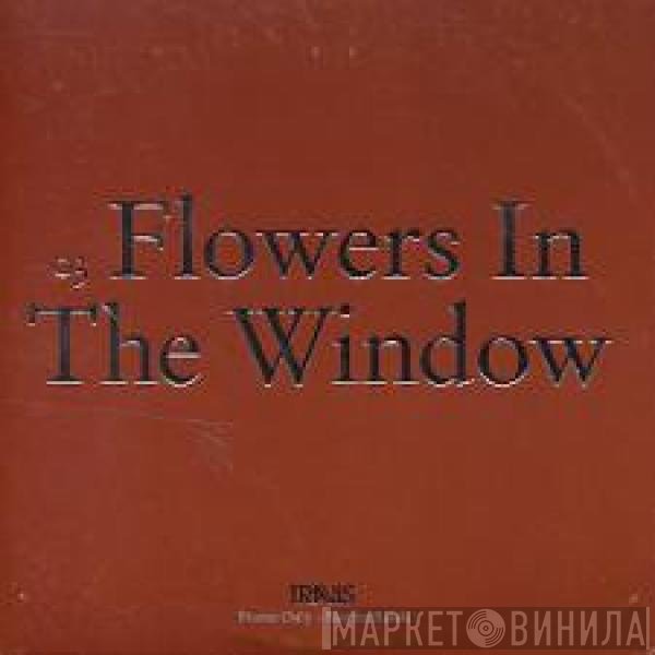 Travis  - Flowers In The Window