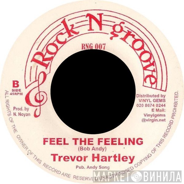 Trevor Hartley - Feel The Feeling