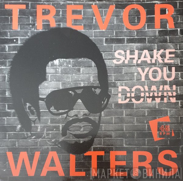 Trevor Walters  - Shake You Down