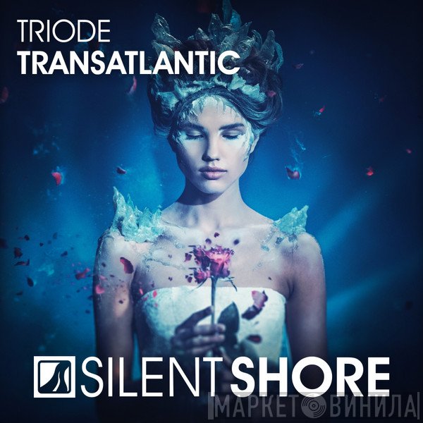Triode   - Transatlantic