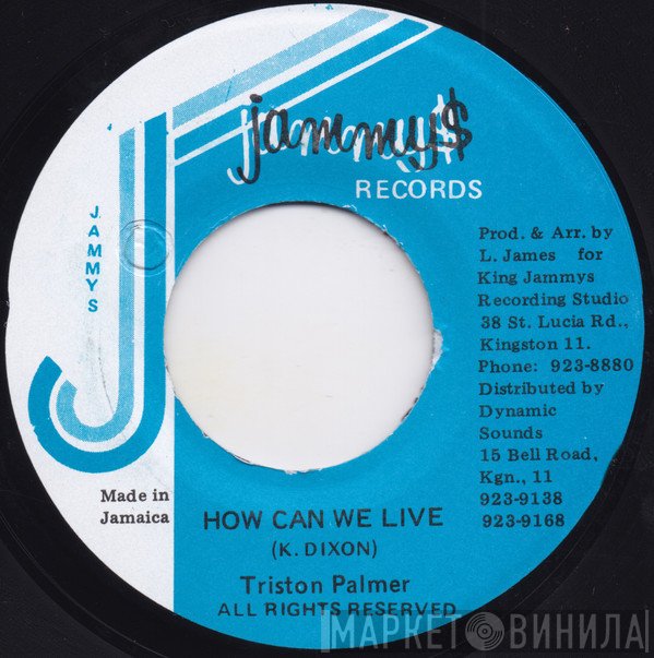 Tristan Palmer - How Can We Live