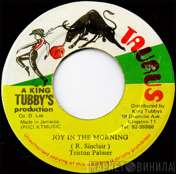 Tristan Palmer - Joy In The Morning
