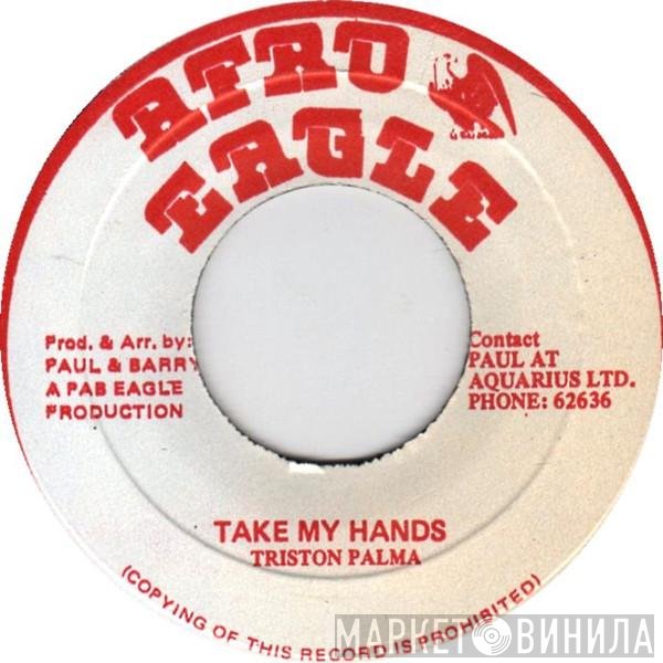 Tristan Palmer - Take My Hands