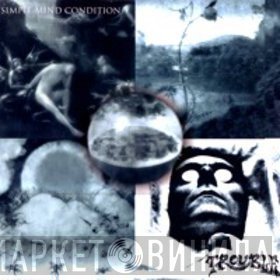 Trouble   - Simple Mind Condition