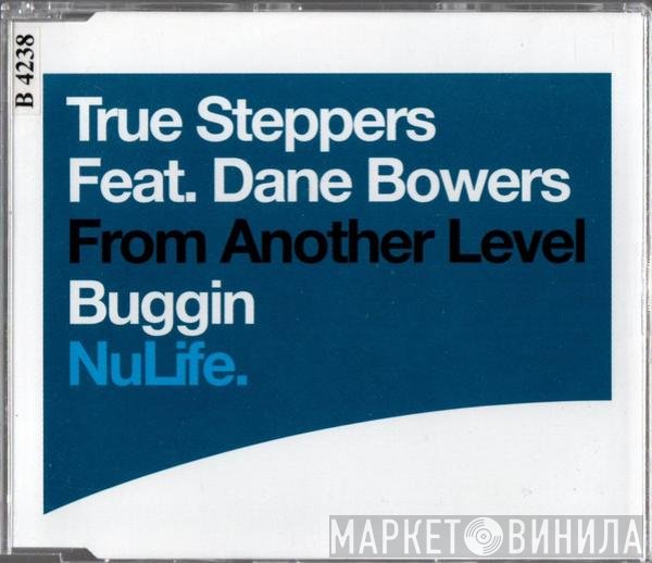 True Steppers Feat. Dane Bowers  - Buggin