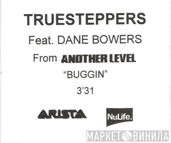 True Steppers Feat. Dane Bowers  - Buggin