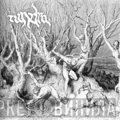 Tundra   - In Cold Dimness