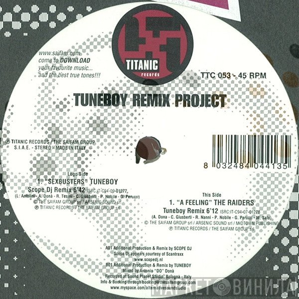 Tuneboy / The Raiders  - Tuneboy Remix Project