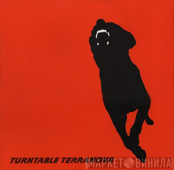 Turntable Terranova - Precipice (DJ Krust Remix)