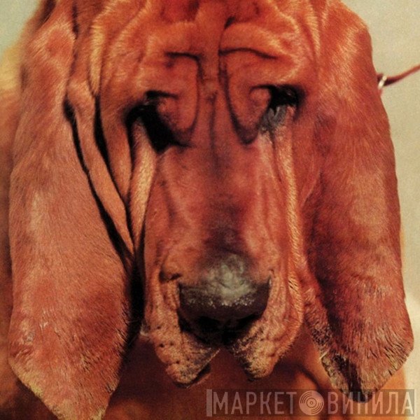 Ty Segall  - Goodbye Bread