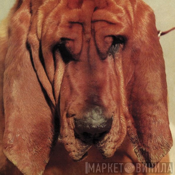 Ty Segall  - Goodbye Bread