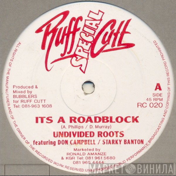 Undivided Roots - Its A Roadblock