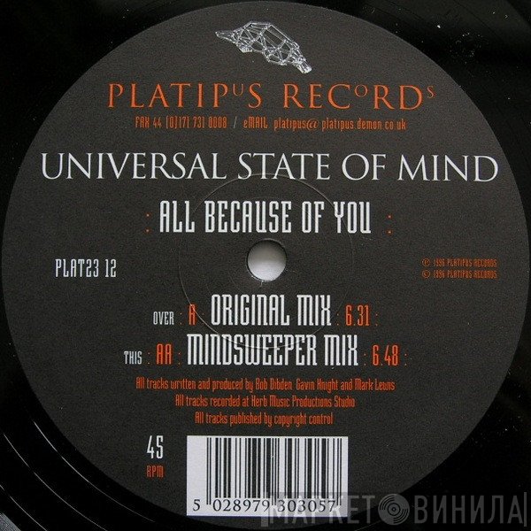 Universal State Of Mind - All Because Of You