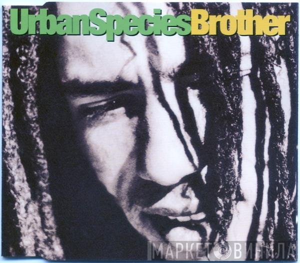 Urban Species - Brother