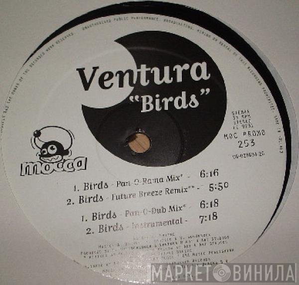 Ventura - Birds