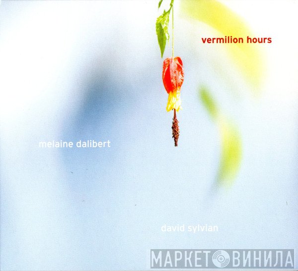 - Vermilion Hours 