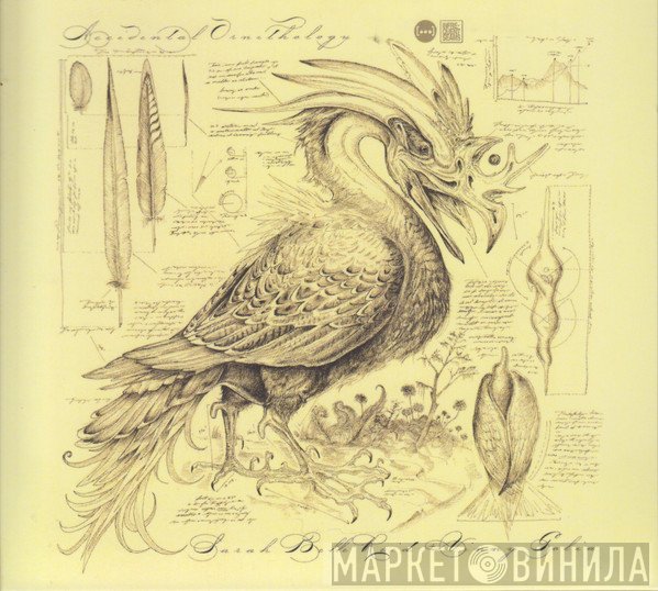 Vinny Golia, Sarah Belle Reid - Accidental Ornithology
