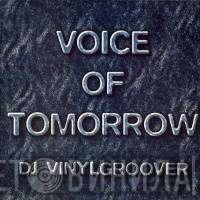 Vinylgroover / Project X   - Voice Of Tomorrow / Virtual Reality