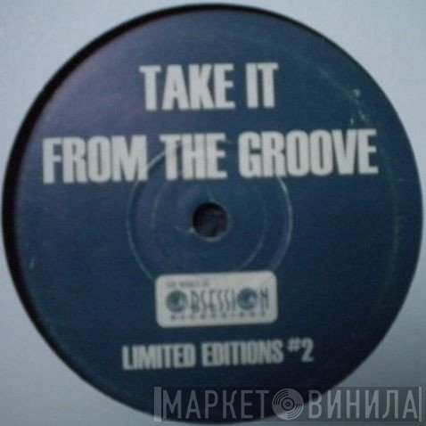 Vinylgroover - Take It From The Groove