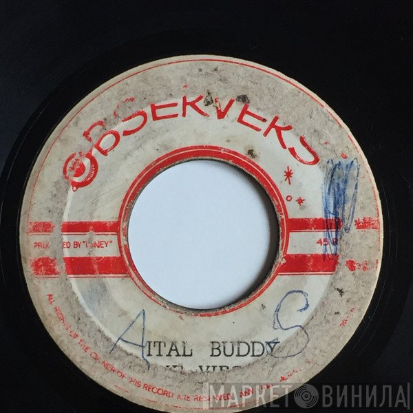 Virgins , The Observers - Ital Buddy / Woodpecker