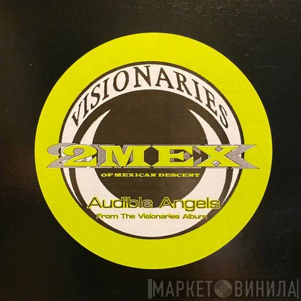 Visionaries - Audible Angels
