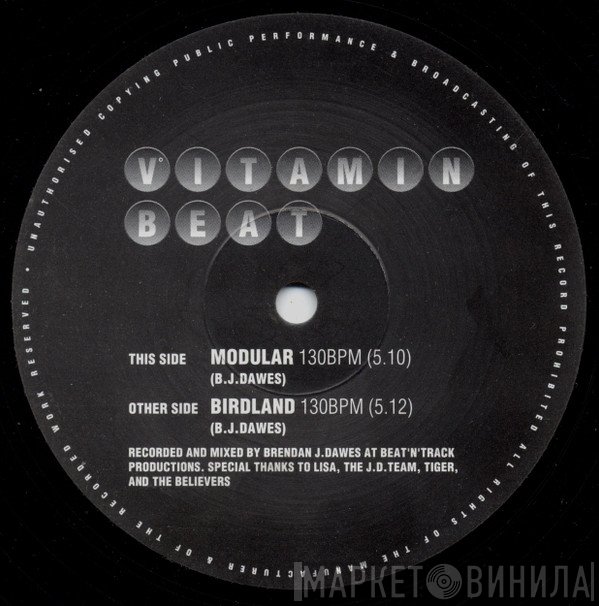 Vitamin Beat - Modular / Birdland