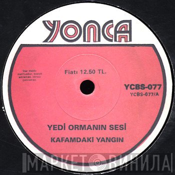 Voice Of The Seven Woods - Kafamdaki Yangın / Karanlık Nehir