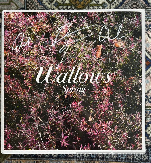 Wallows  - Spring