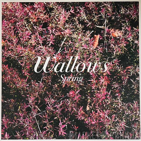 Wallows - Spring