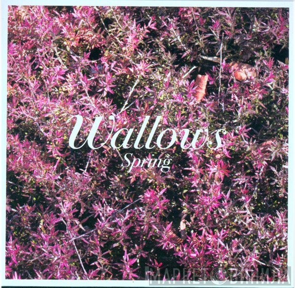 Wallows  - Spring