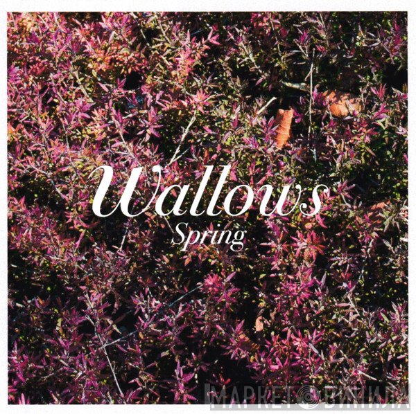 Wallows  - Spring