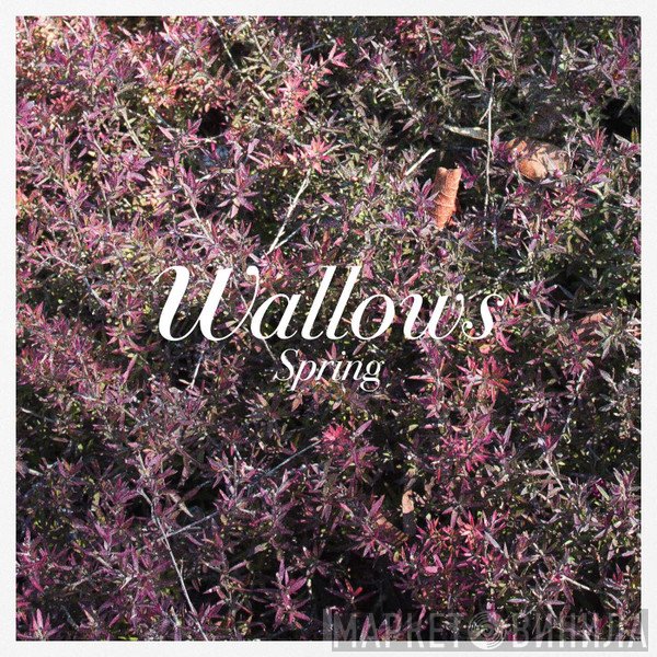 Wallows  - Spring