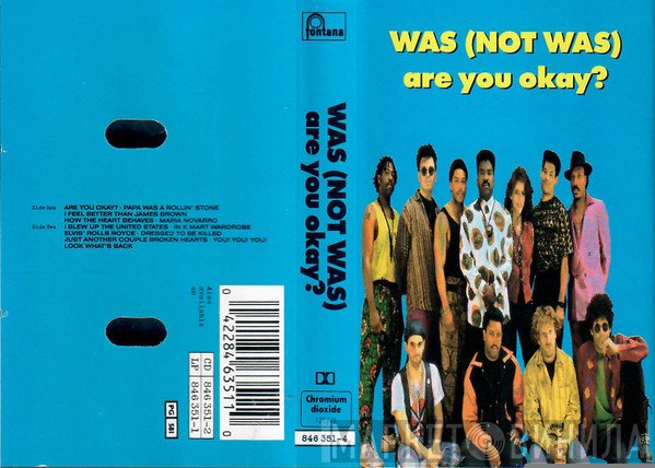 Was (Not Was) - Are You Okay?