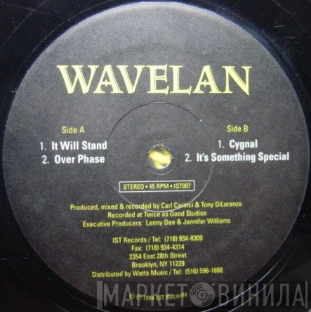 Wavelan - It Will Stand