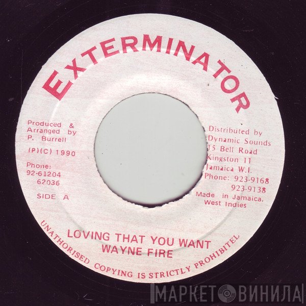 Wayne Fire - Loving That You Want