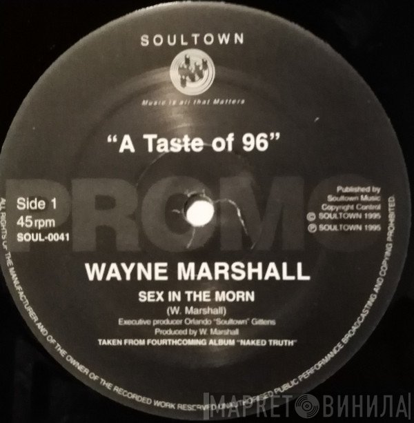 Wayne Marshall  - A Taste Of 96