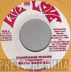 Wayne Marshall - Champagne Wishes